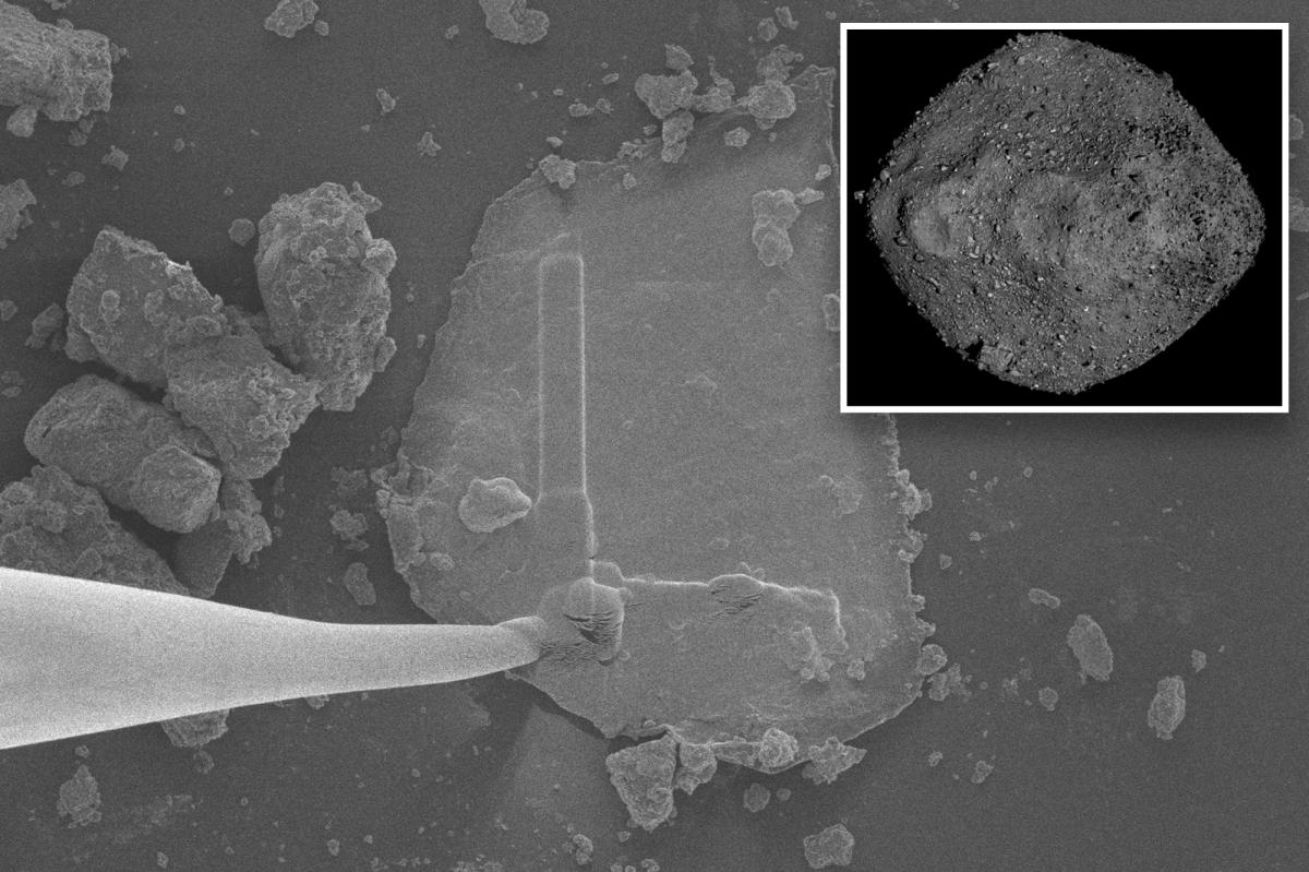 Building blocks of life found on asteroid: researchers