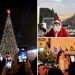Christmas returns to Bethlehem with tree-lighting ceremony — for first time since outset of war in Gaza