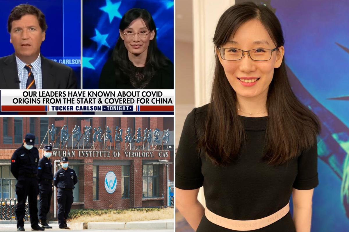 Doc who fled China hides in US over fears communists want revenge on COVID lab theories