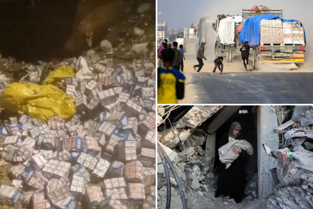 Hamas hid tons of baby formula to damage Israel with starvation claims, Palestinian activist says