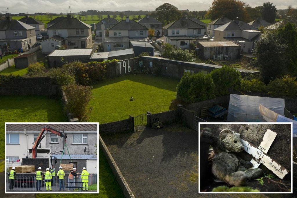 Grim new baby graveyard found at home where 796 infants feared dumped in septic tank