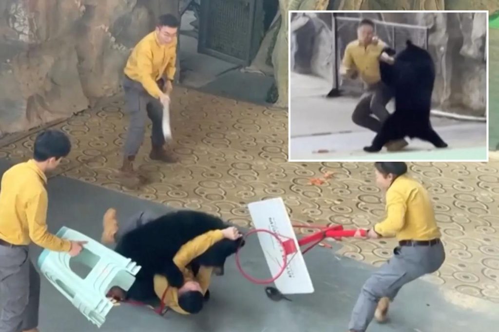 Bear attacks zookeeper during live show