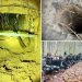 Scores of migrants cross into Poland through tunnel hidden in Belarus forest