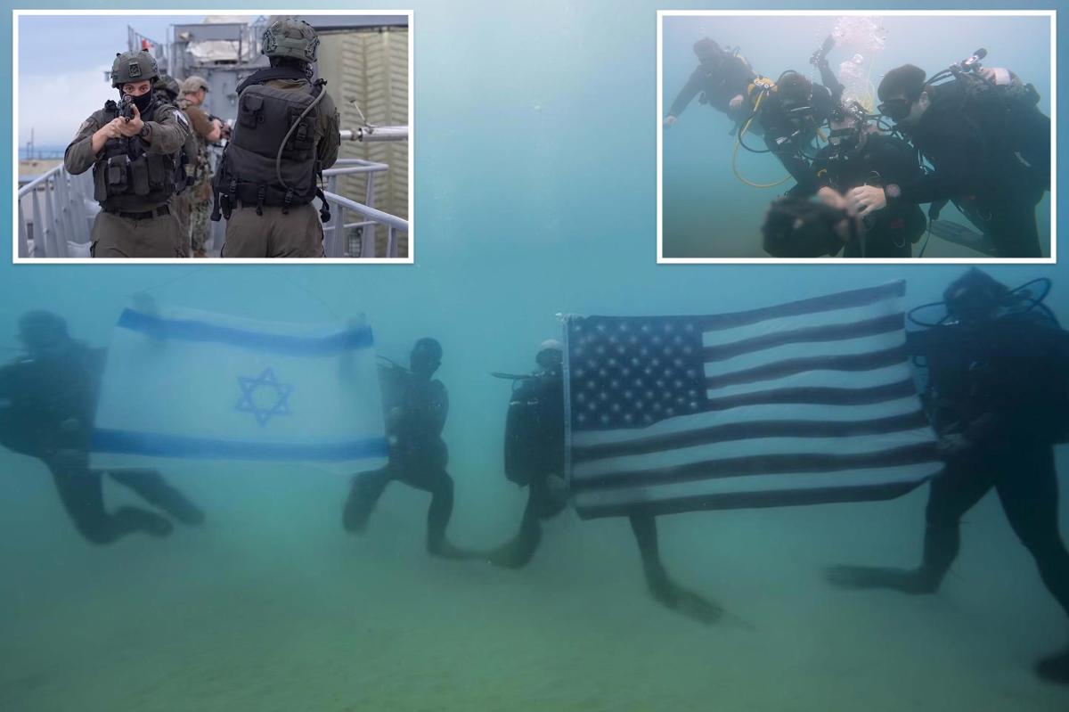 Israeli navy and US 5th Fleet complete joint five-day exercise