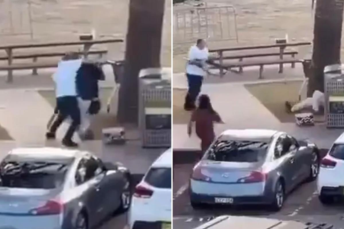 Incredible moment Bondi Beach hero disarms terrorist who opened fire on Hanukkah party