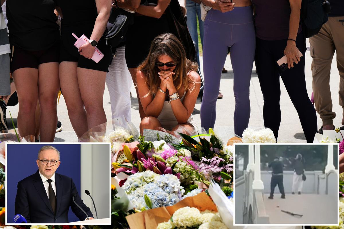 Australia vows tougher gun laws after Bondi Beach terrorists killed 15 people at Hanukkah celebration