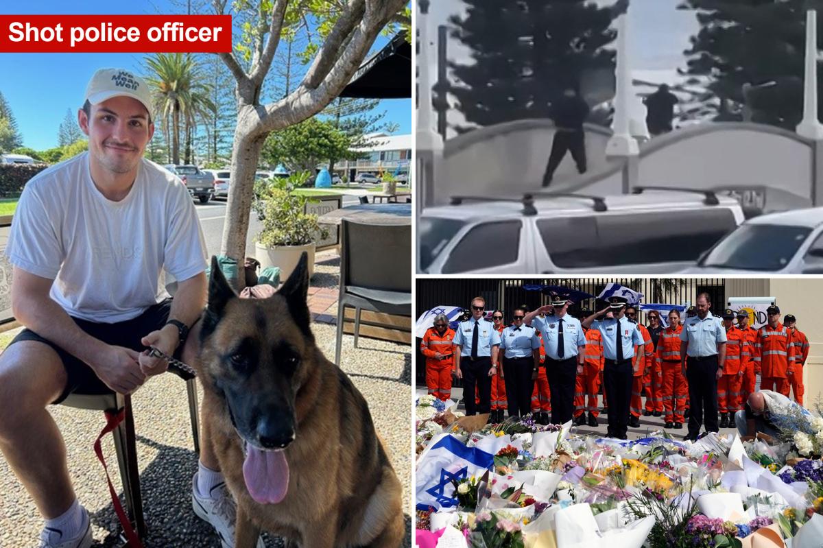 Officer learned he was going to be a dad days before he was shot during Bondi Beach terror attack