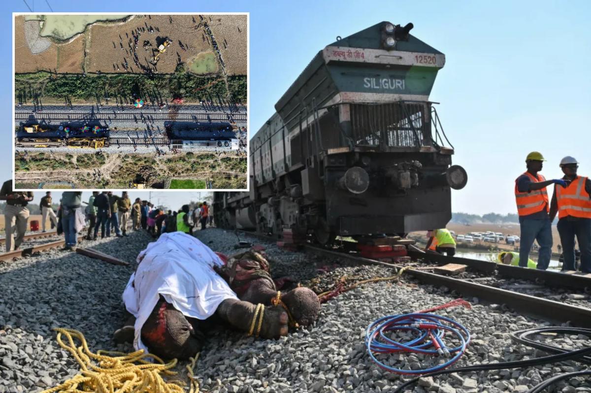 7 elephants killed after high-speed train collides with massive herd crossing railroad tracks