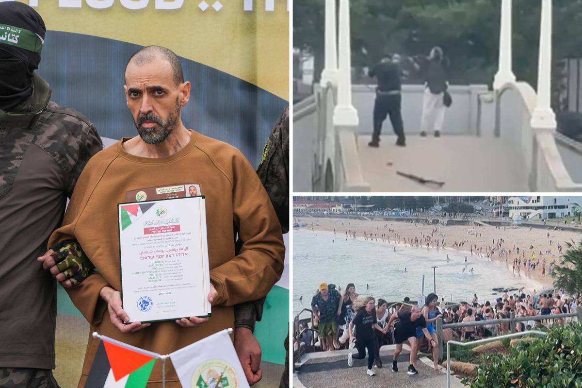 Former Hamas hostage warned leaders of rising antisemitism months before deadly Bondi Beach shooting