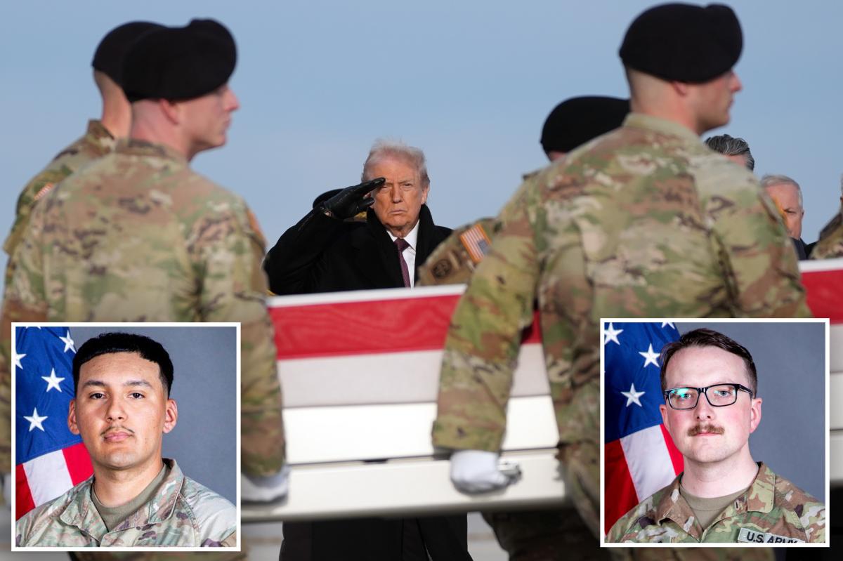 US kills ‘at least 5’ ISIS thugs in Syria in response to insider attack that gunned down American troops: ‘It was very successful’