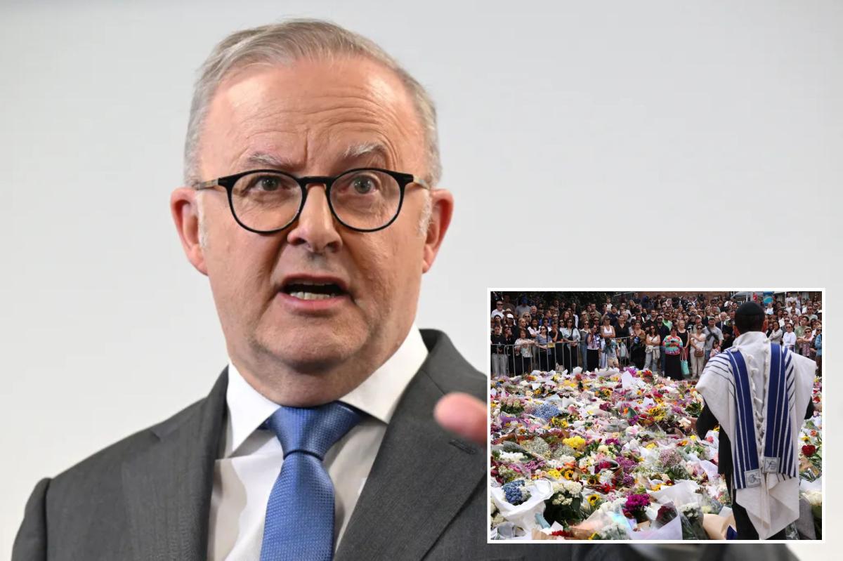 Australian PM defies calls for broad independent probe of Bondi Beach massacre