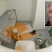 DOJ releases shocking fake video of Jeffrey Epstein suicide as part of file dump