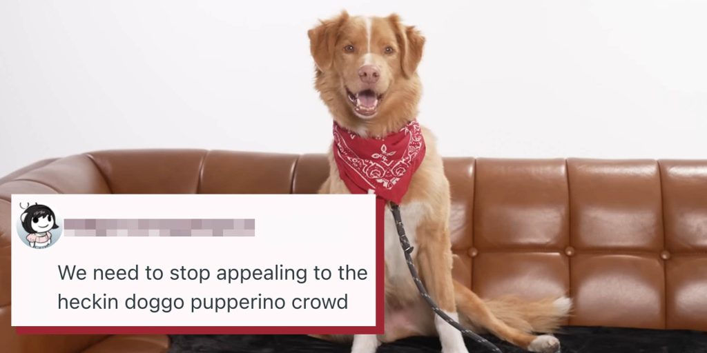 "I find this corny": Over 43K fans sign petition urging the Academy to give this dog an honorary Oscar