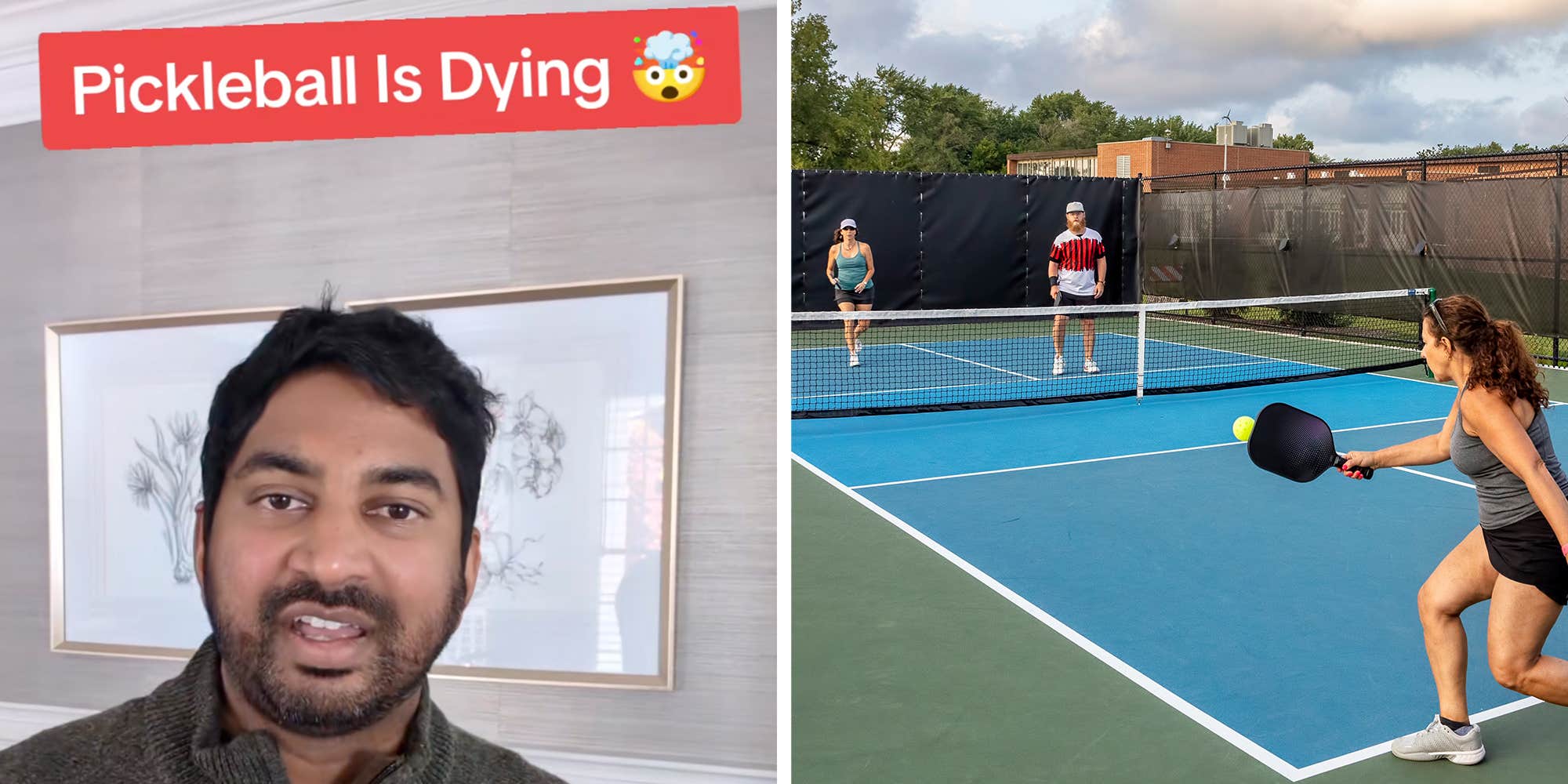 Is pickleball dying? Analyst lays out signs that the fastest-growing sport is past its prime