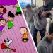 TikTokers are making the Charlie Brown dance popular again, just in time for the holidays