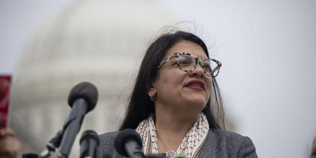 Tlaib Rips Lawmakers Who 'Drool at the Opportunity to Fund War' While Opposing Healthcare for All