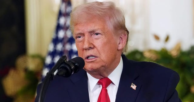 Trump and Epstein’s Flight With 20-Year-Old Woman Revealed in New Files