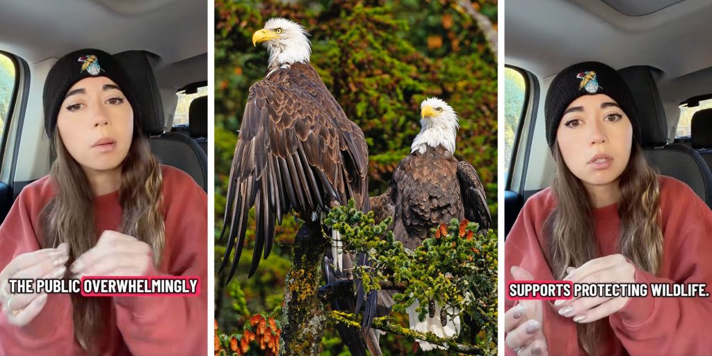 "We have until December 22": Maya Higa asks fans to fight Trump admin’s ESA rule change impacting endangered species