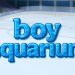 Women are "visiting the boy aquarium" to look for dates. What does it mean?
