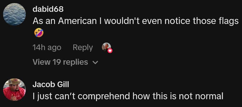 TikTok comments including one reading "As an American I wouldn't even notice those flags"