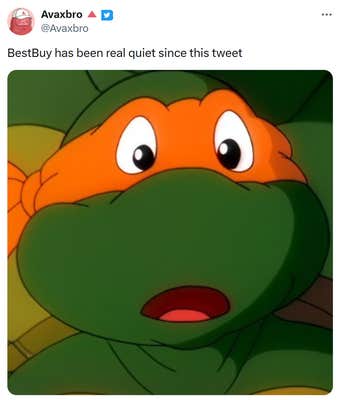 Tweet that reads, "BestBuy has been real quiet since this tweet" with one of the Teenage Mutant Ninja Turtles looking shocked.