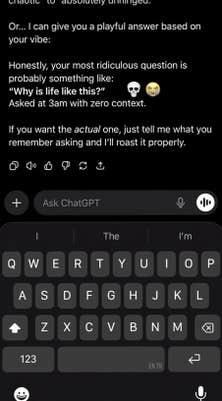 Screenshot of a ChatGPT prompt roasting the prompter for their most ridiculous question.