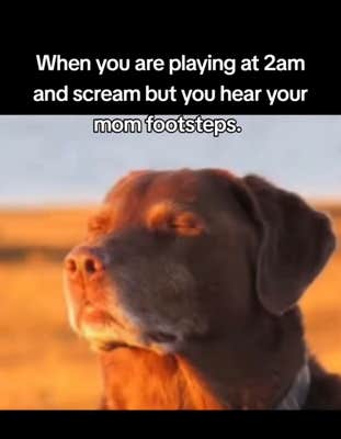 Dog closing eyes meme, text reads, "When you are playing at 2am and scream but you hear your mom footsteps."