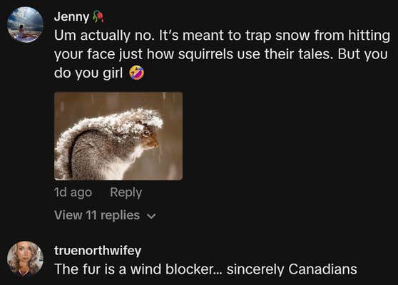 TikTok comments including one reading "Um actually no. It&rsquo;s meant to trap snow from hitting your face just how squirrels use their tales. But you do you girl"