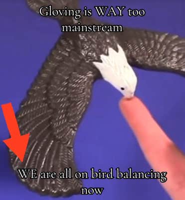 TikTok video of someone balancing an eagle figuring on one finger with a caption reading "Gloving is WAY too mainstream. WE are all on bird balancing now."