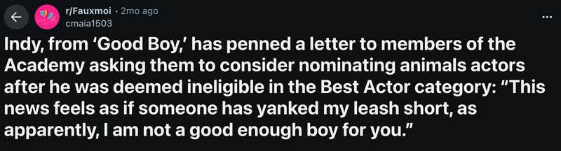 u/cmaia1503 posted Indy’s open letter to r/Fauxmoi in early October 2025. The Reddit user included the full letter and wrote, “Indy, from ‘Good Boy,’ has penned a letter to members of the Academy asking them to consider nominating animals actors after he was deemed ineligible in the Best Actor category: “This news feels as if someone has yanked my leash short, as apparently, I am not a good enough boy for you.”