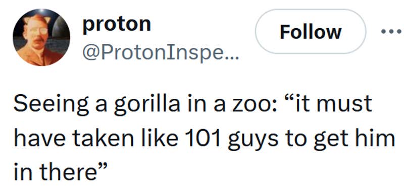 Tweet reading "Seeing a gorilla in a zoo: “it must have taken like 101 guys to get him in there”"