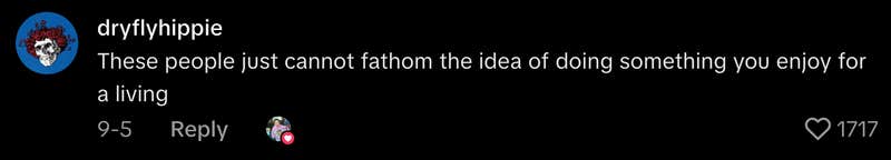 “These people just cannot fathom the idea of doing something you enjoy for a living.”