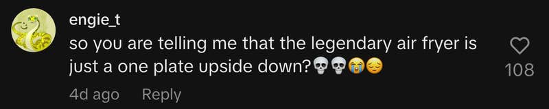 “so you are telling me that the legendary air fryer is just a one plate upside down?💀💀😭😔.”