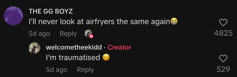 One commenter replying to the post wrote, “I’ll never look at air fryers the same again 😭.” @welcometheekidd agreed, “I’m traumatised 😔.”
