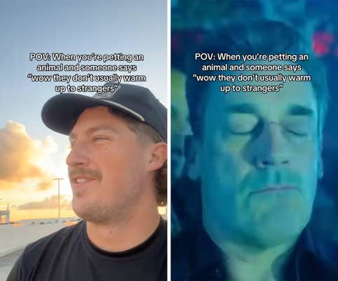 when you're petting an animal and someone says they don't usually warm up to strangers