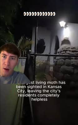 TikTok video claiming to show the Kansas City moth with a man reacting on the left.