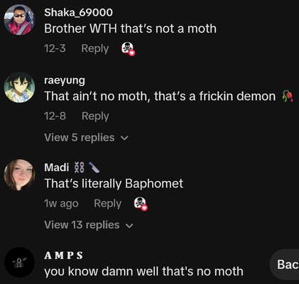 TikTok comments including one reading "Brother WTH that&rsquo;s not a moth"