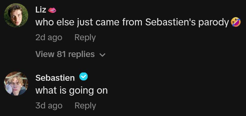 TikTok comments including one by Sebastien reading "what is going on"