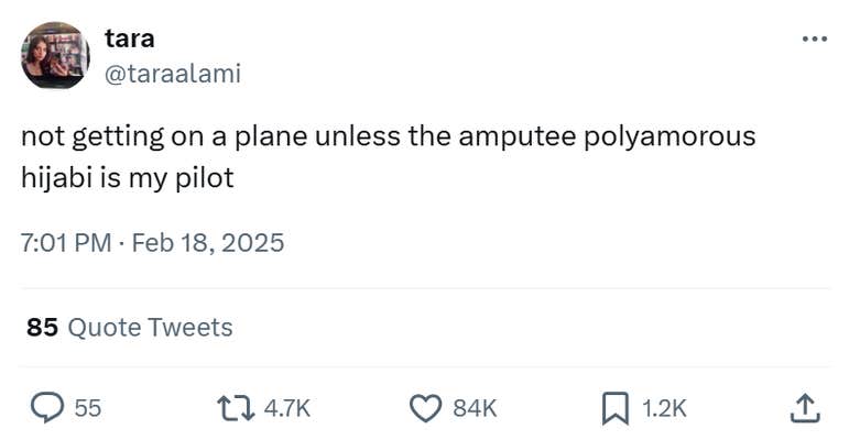 Plane crash meme, text reads, "not getting on a plane unless the amputee polyamorous hijabi is my pilot"