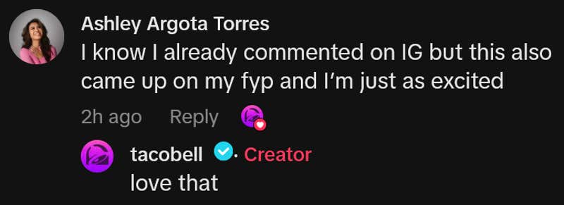 TikTok comment reading "I know I already commented on IG but this also came up on my fyp and I&rsquo;m just as excited"