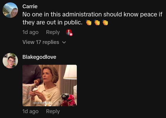 TikTok comments including one reading "No one in this administration should know peace if they are out in public."