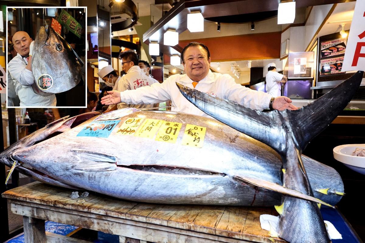 Giant tuna the size of a motorcycle sold to ‘Tuna King’ for record $3.2 million at auction