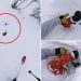 Pulse-pounding moment skier rescues man buried under avalanche— after spotting limb sticking out of snow