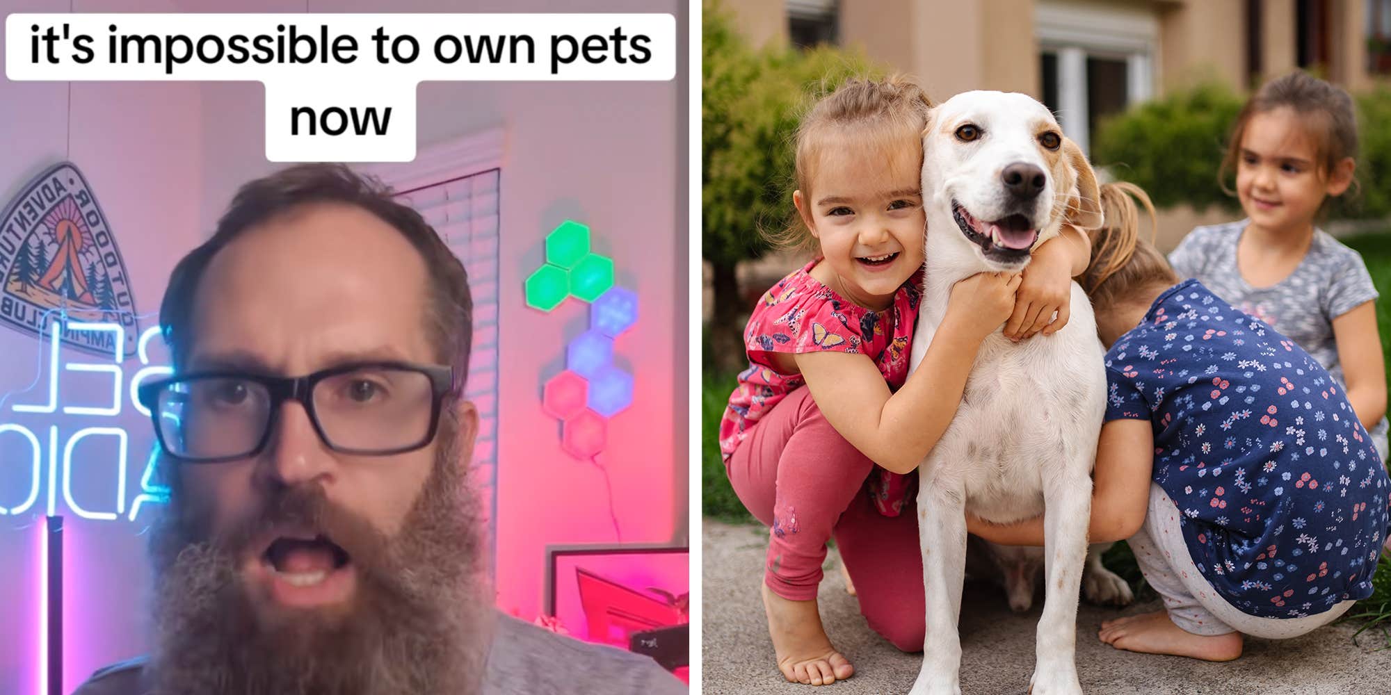 "Unconscionable": Owners say soaring vet bills up to $10K are making adoption impossible