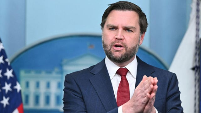 Vance said ICE will go 'door-to-door' to check immigration status