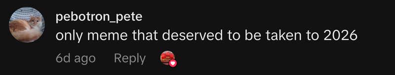 &ldquo;only meme that deserved to be taken to 2026&rdquo;