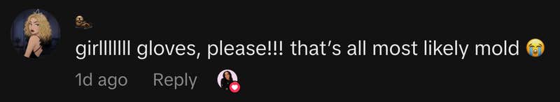 &ldquo;girlllllll gloves, please!!! that&rsquo;s all most likely mold 😭&rdquo;