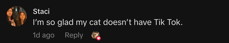 &ldquo;I&rsquo;m so glad my cat doesn&rsquo;t have Tik Tok.&rdquo;