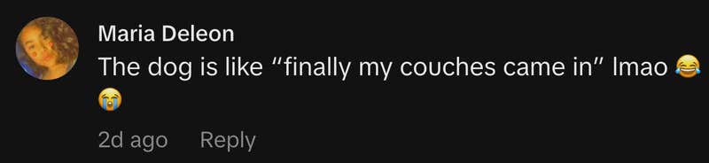 &ldquo;The dog is like &ldquo;finally my couches came in&rdquo; lmao 😂😭&rdquo;