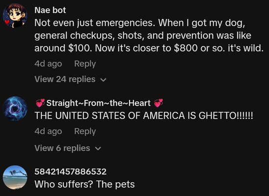 TikTok comments including one reading "Not even just emergencies. When I got my dog, general checkups, shots, and prevention was like around $100. Now it's closer to $800 or so. it's wild."